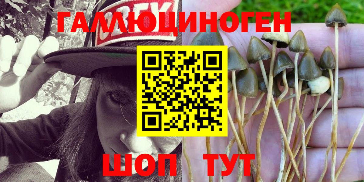 Псилоцибиновые грибы мухоморы  Усть-Лабинск 