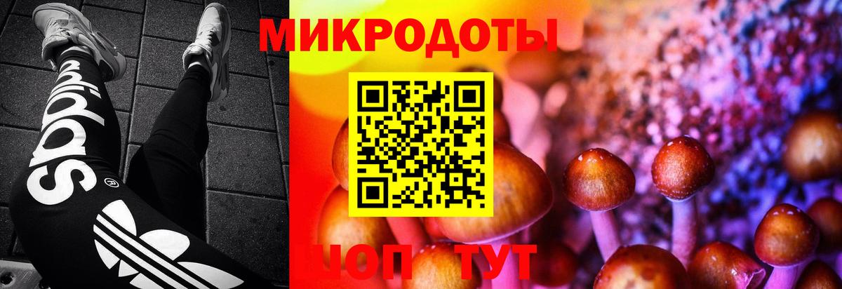 Галлюциногенные грибы прущие грибы  Вход с VPN  Усть-Лабинск  сколько стоит  Псилоцибиновые грибы MAGIC MUSHROOMS 